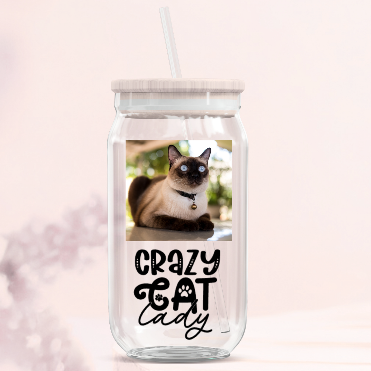 Crazy Cat Lady Glass Can Tumbler Collection