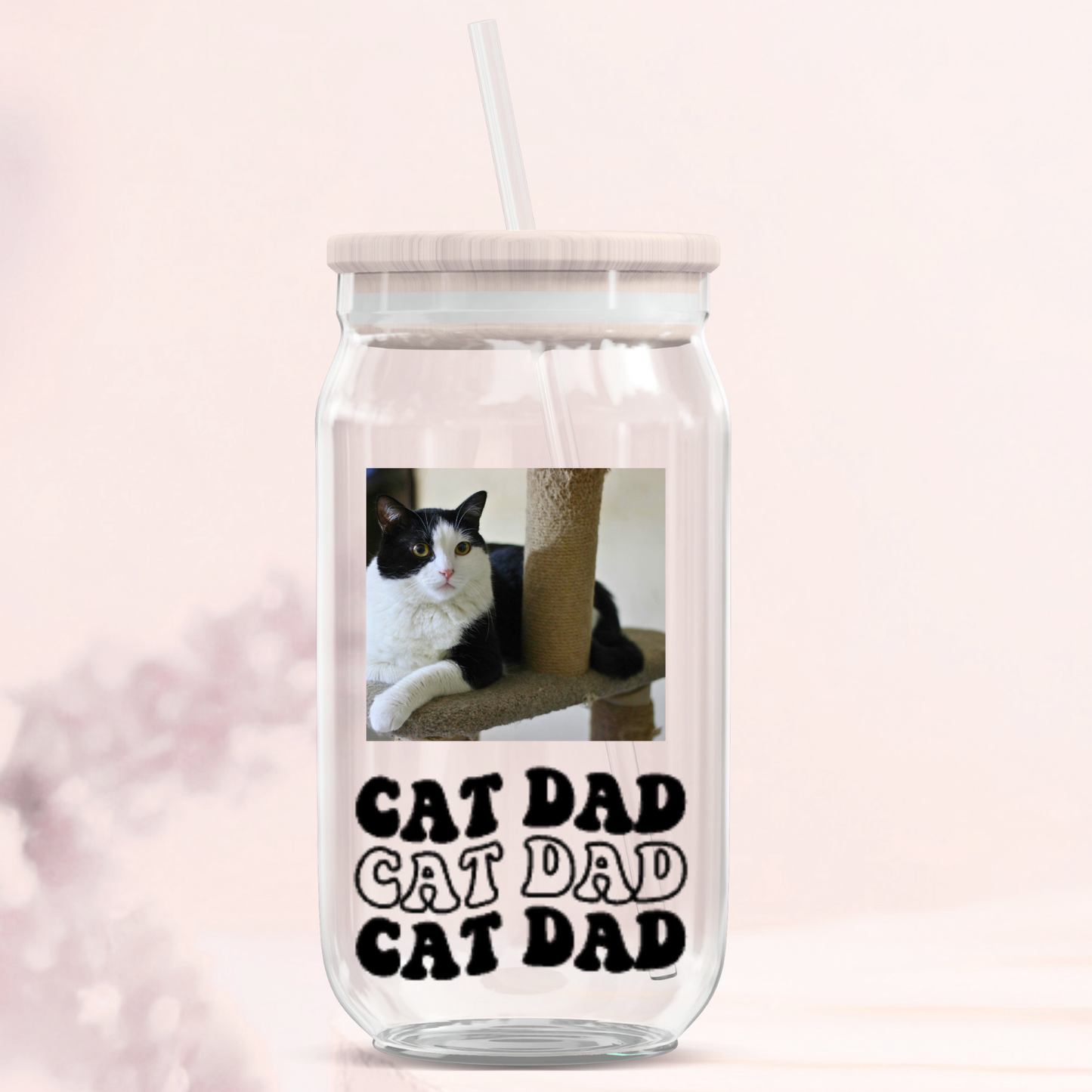 Cat Dad Glass Can Tumblers
